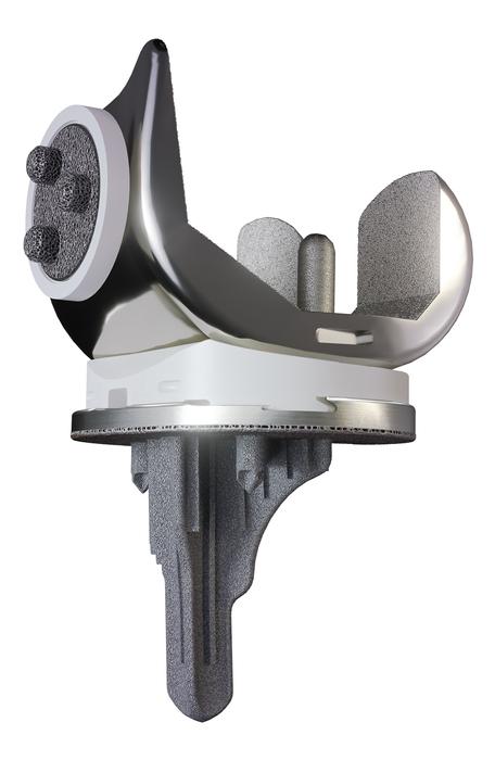 Product image showing LEGION-CONCELOC cementless total knee system